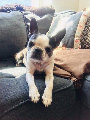 photo of Alexandra T.