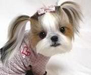 Photo of Bernadette A.