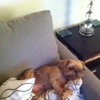Photo of Ginger S.