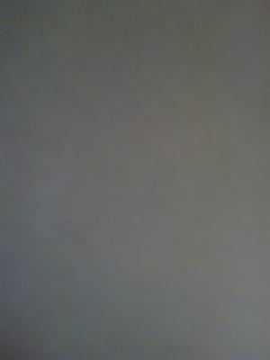 Photo of Ted F.