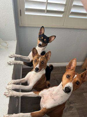 photo of Yessenia R.