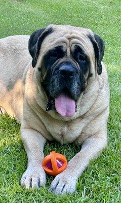 photo of Jennifer B.