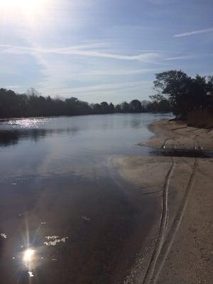 photo of Kimberly A.