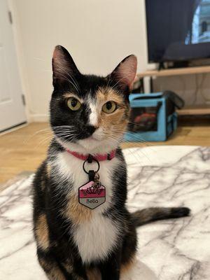 Photo of Christine M.