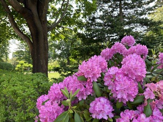 photo of Jennifer K.