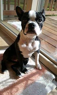 Photo of Missy R.