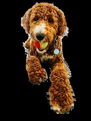 photo of Marianne A.