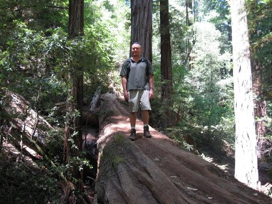 Photo of Michael W.