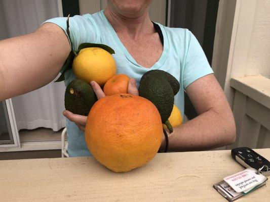 Photo of Jennifer S.