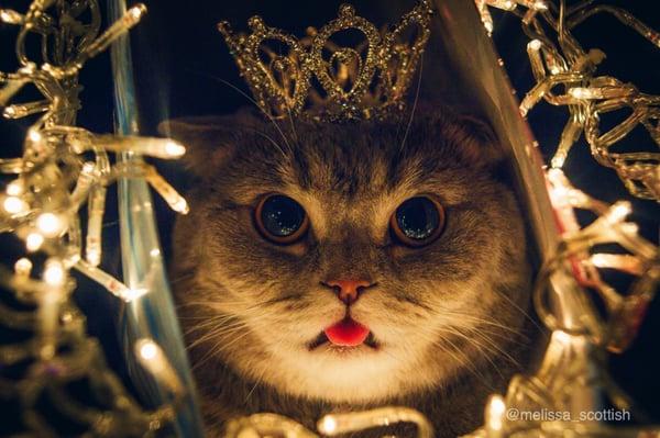 photo of Alexandra K.