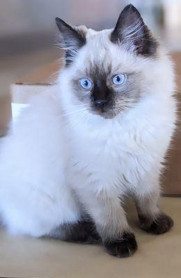 photo of Courtney D.