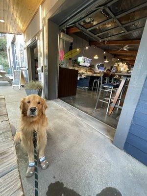 photo of Ronelyne T.