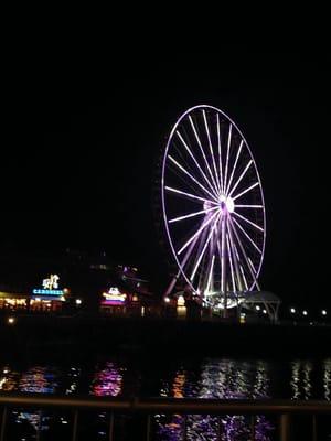 Photo of Samantha G.