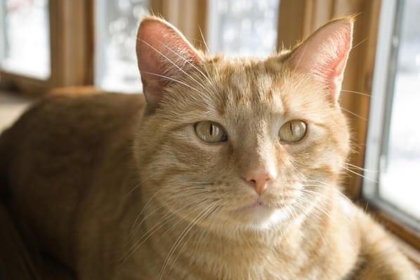 Photo of Moofie R.