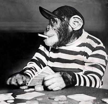 Photo of Lucian C.