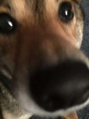 photo of Jonathan G.