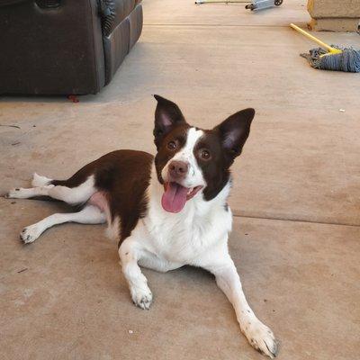 photo of Jonathan L.