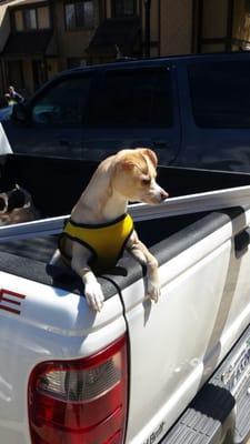 photo of Jonathan F.