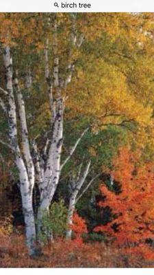 photo of Elizabeth M.