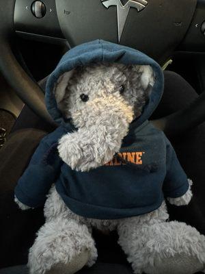 Photo of froggy s.