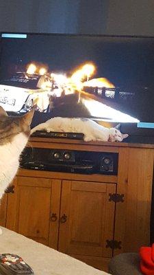 photo of Samantha S.