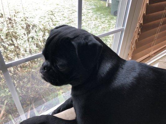 photo of Tiffoney C.