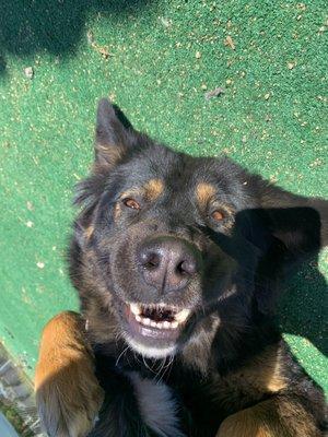 photo of Michelle C.