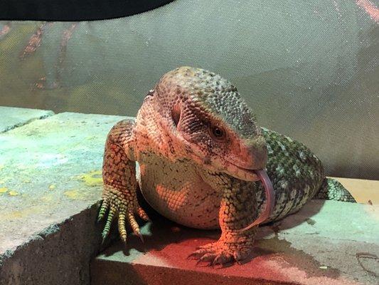 photo of Marty Martin H.