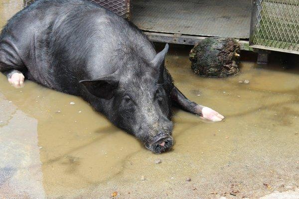 photo of Brittany F.