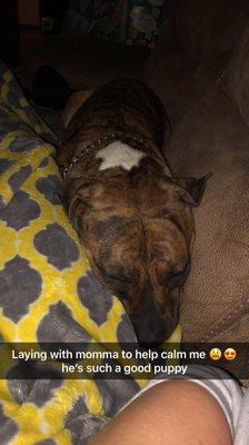 photo of Mercedes V.