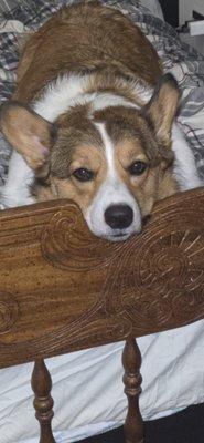 photo of Tracy Lynn B.