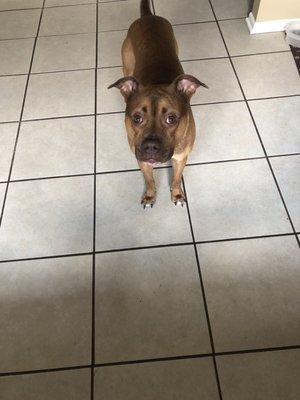 37th District Court 8300 Common Rd Warren MI 48093 US MapQuest 37th District Court 8300 Common Rd Warren MI 48093 US MapQuest