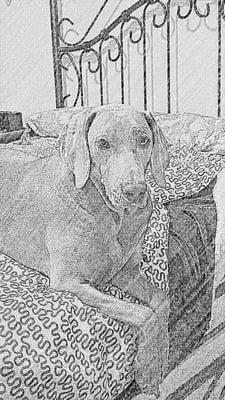 Photo of Casey M.