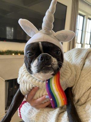 photo of Leighann S.