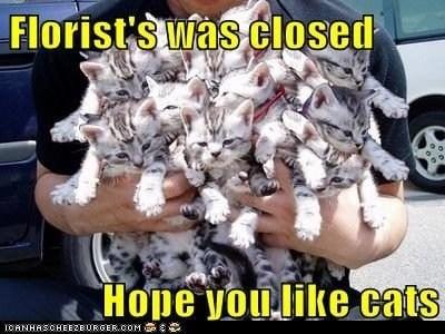 photo of Victoria M.