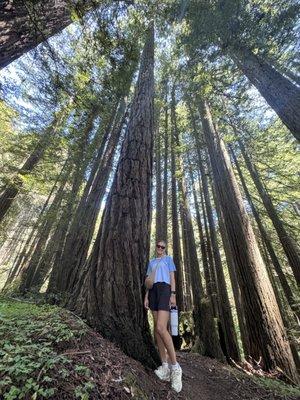 Photo of Amanda R.