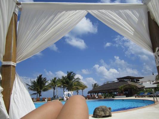 photo of Jenneane R.