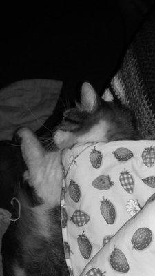 photo of Cheyenne M.