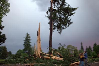 photo of Mom In Tennis Shoes S.