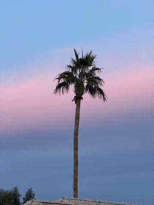 photo of Stephanie S.