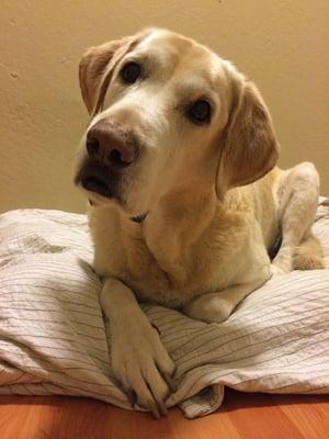 photo of Jonathan Y.