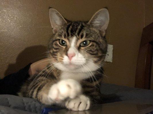 photo of Francisco C.