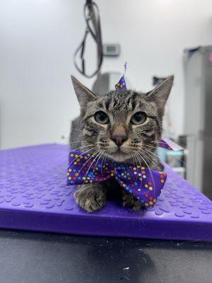 photo of Catherine C.