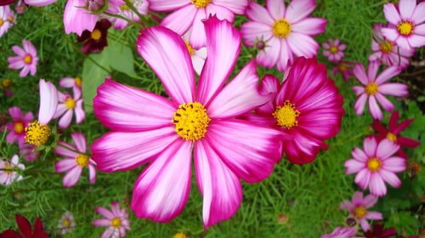 photo of Elizabeth C.