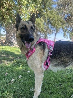 Photo of Pepper L.