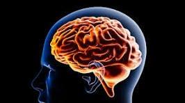 photo of Vigilant C.