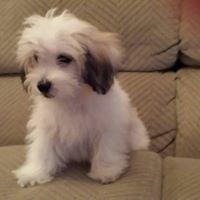 photo of Ann Marie Z.