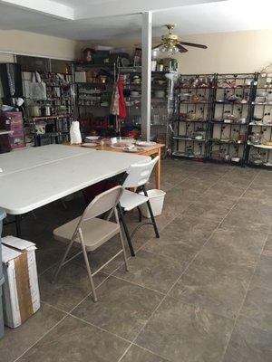 photo of Patricia F.