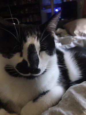 photo of Alexander S.