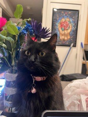 Photo of Savannah A.